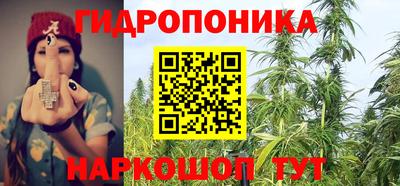 spice Кудрово