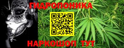 spice Кудрово