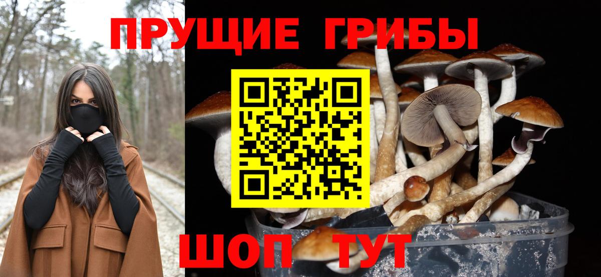 цена   Галлюциногенные грибы мицелий  Вход с VPN  Боровичи 