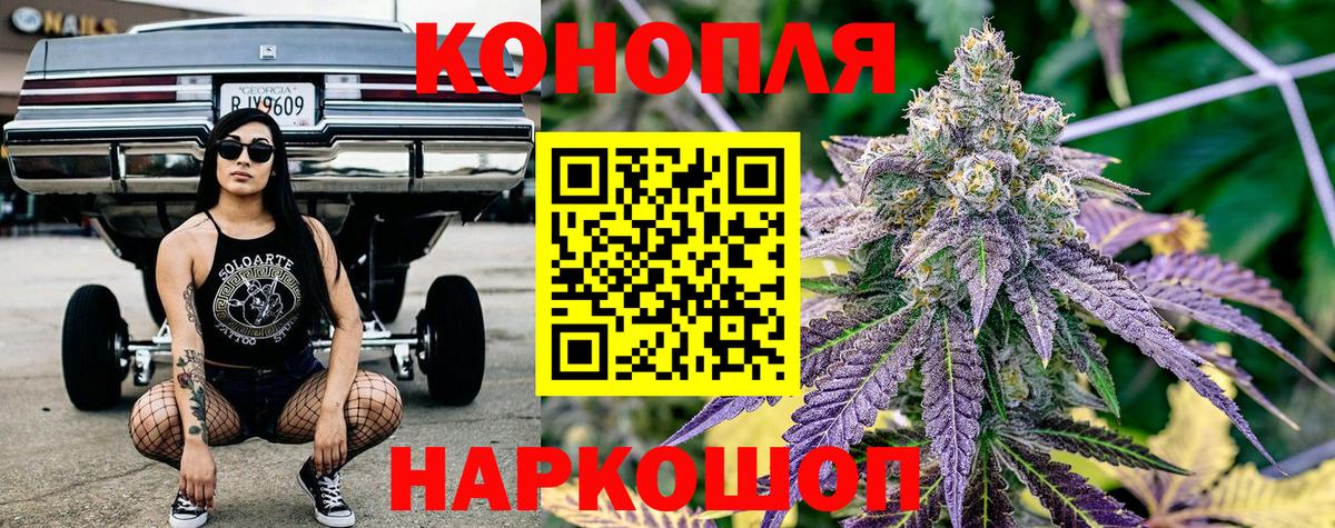 Бошки марихуана гибрид  Каннабис план  Вход с VPN  МАРИХУАНА VHQ  Каннабис план  Боровичи 